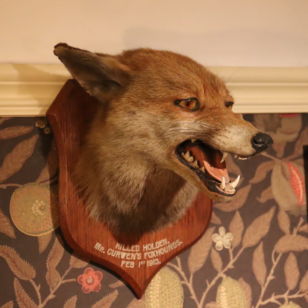 Taxidermy – Fox mask by Peter Spicer & Sons
