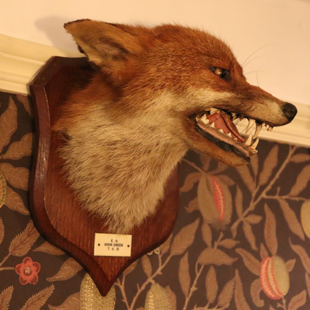 Taxidermy – Fox mask by Peter Spicer & Sons