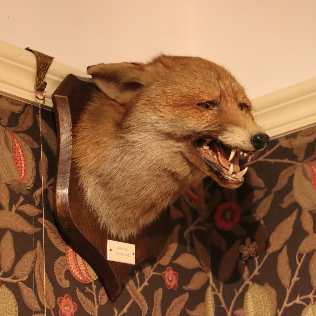 Taxidermy – Fox mask by Peter Spicer & Sons